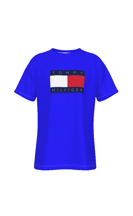 Tommy Hilfiger Unisex T-shirt