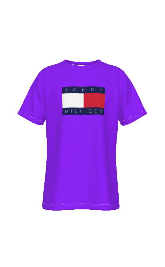 Tommy Hilfiger Unisex T-shirt